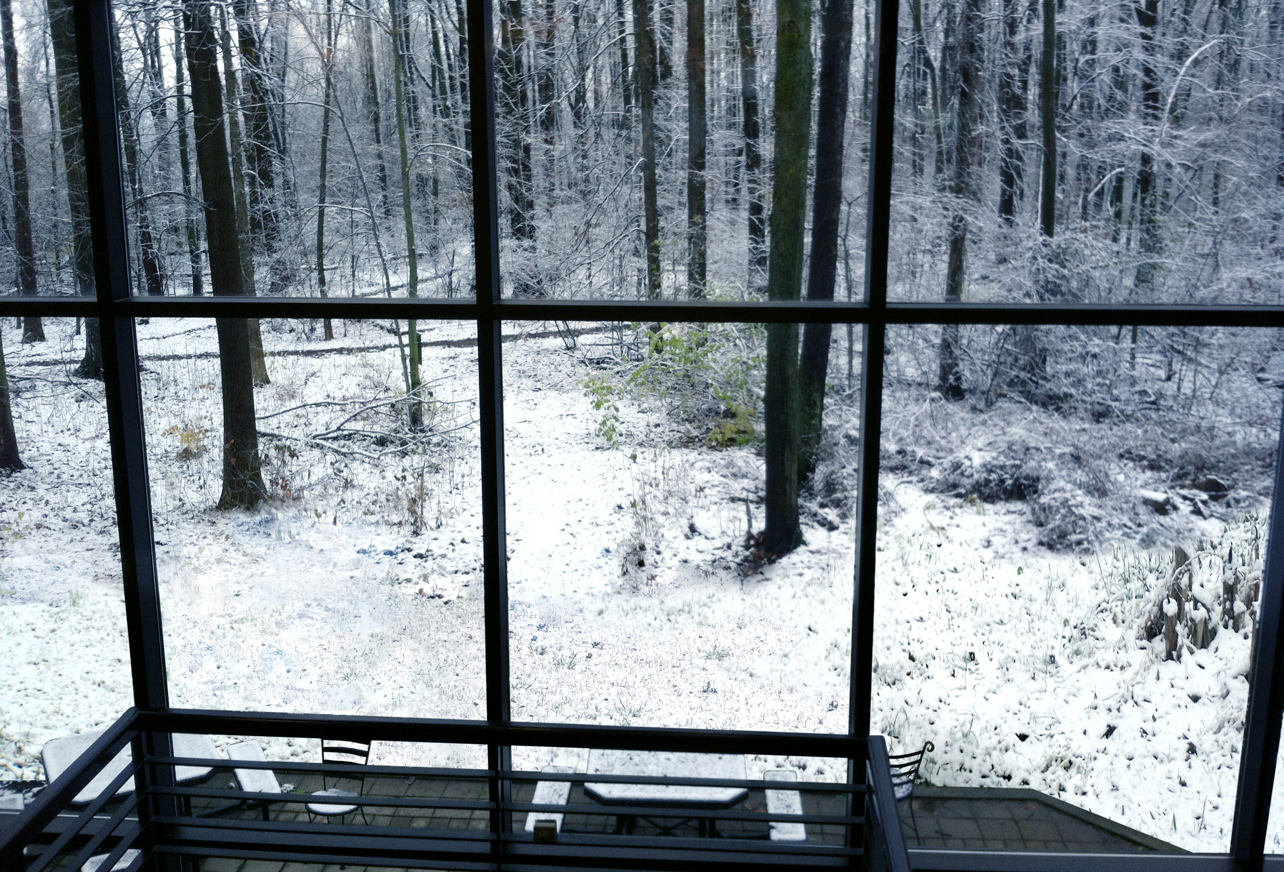 Snowy Treehouse